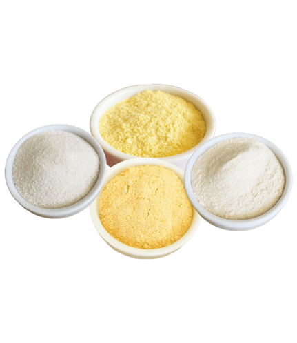 1801_yellow_lentil_wheat H1_rice_TM40_maize H1