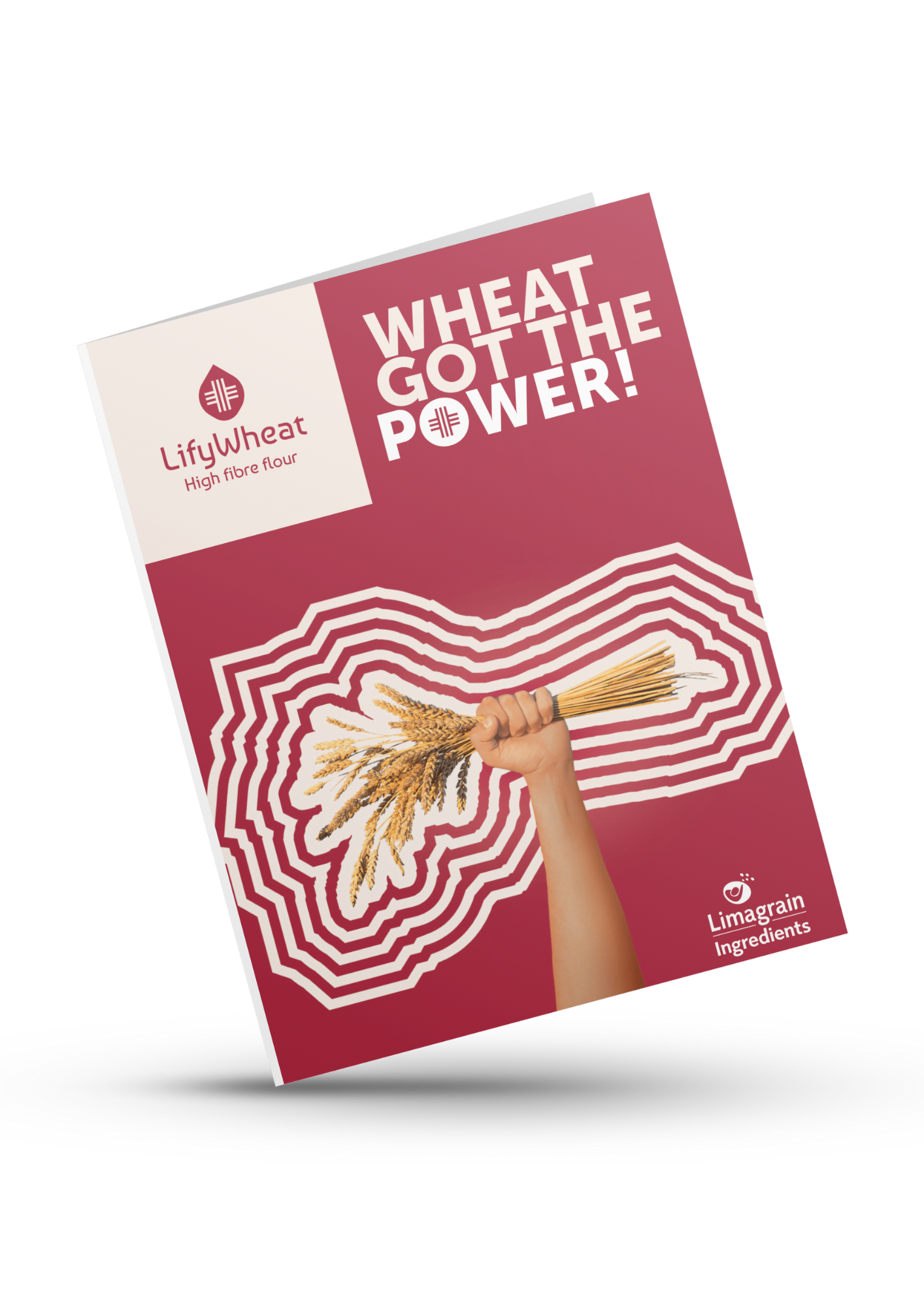 brochure-lifywheat-mockup-0925-2