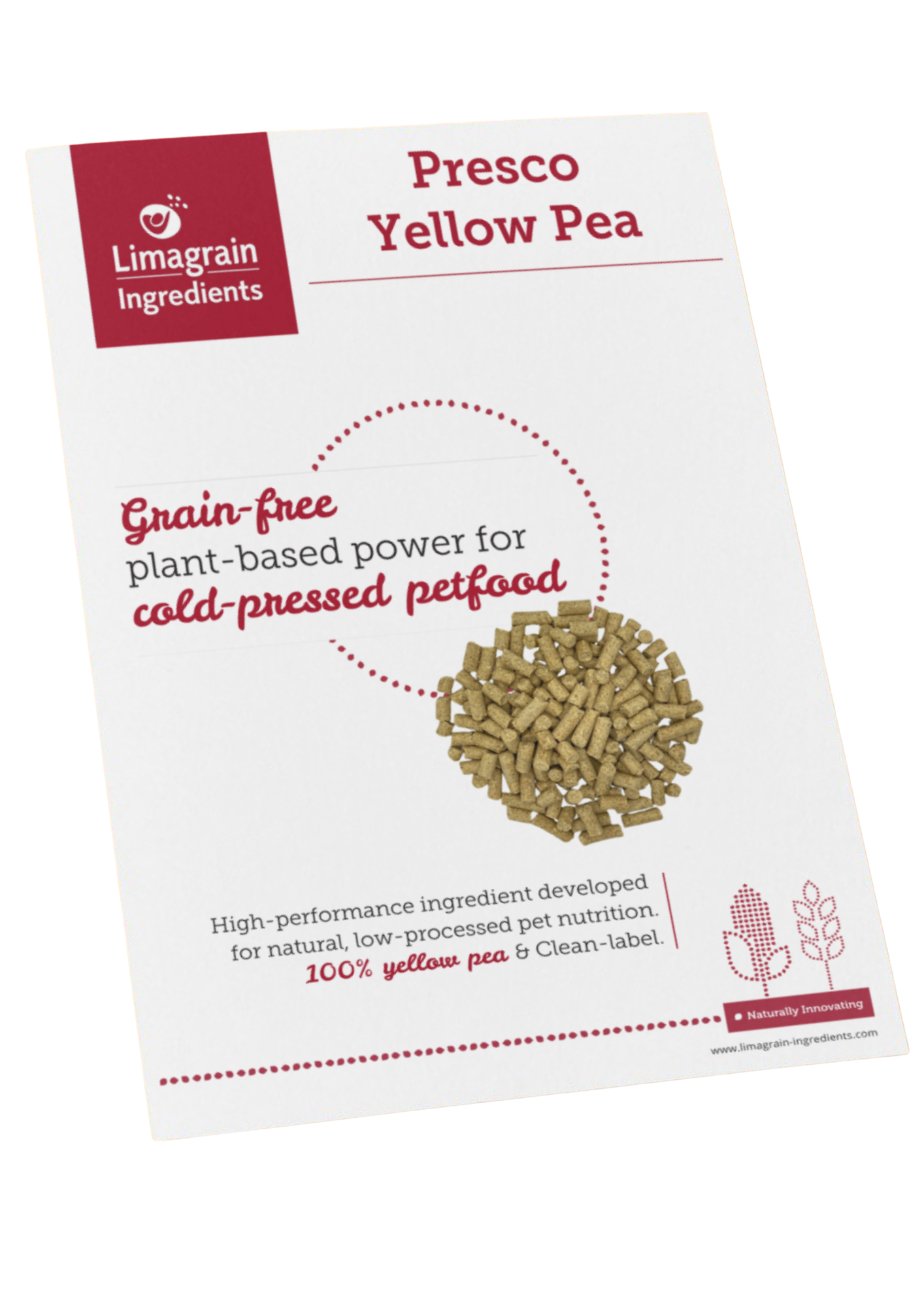 mock up leaflet presco yellow pea