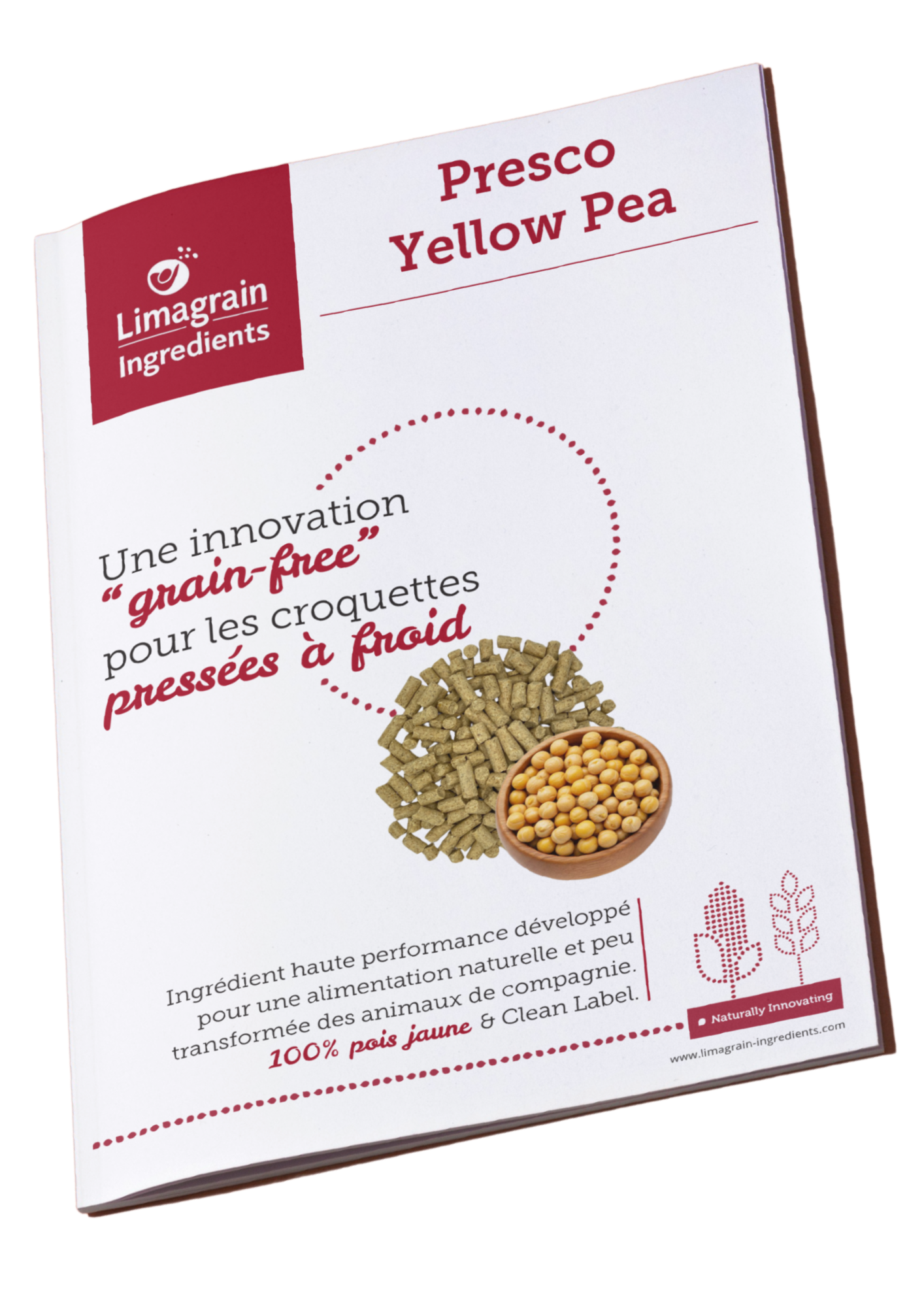 mockup_leaflet_yellow pea_FR